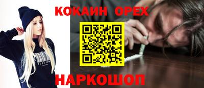 шишки Гатчина