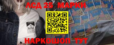 шишки Гатчина