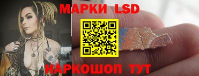 шишки Гатчина