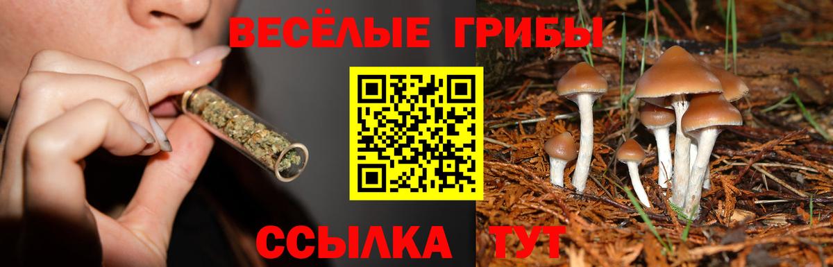 Галлюциногенные грибы Psilocybine cubensis  Вход с VPN  Калуга  Галлюциногенные грибы Psilocybe 